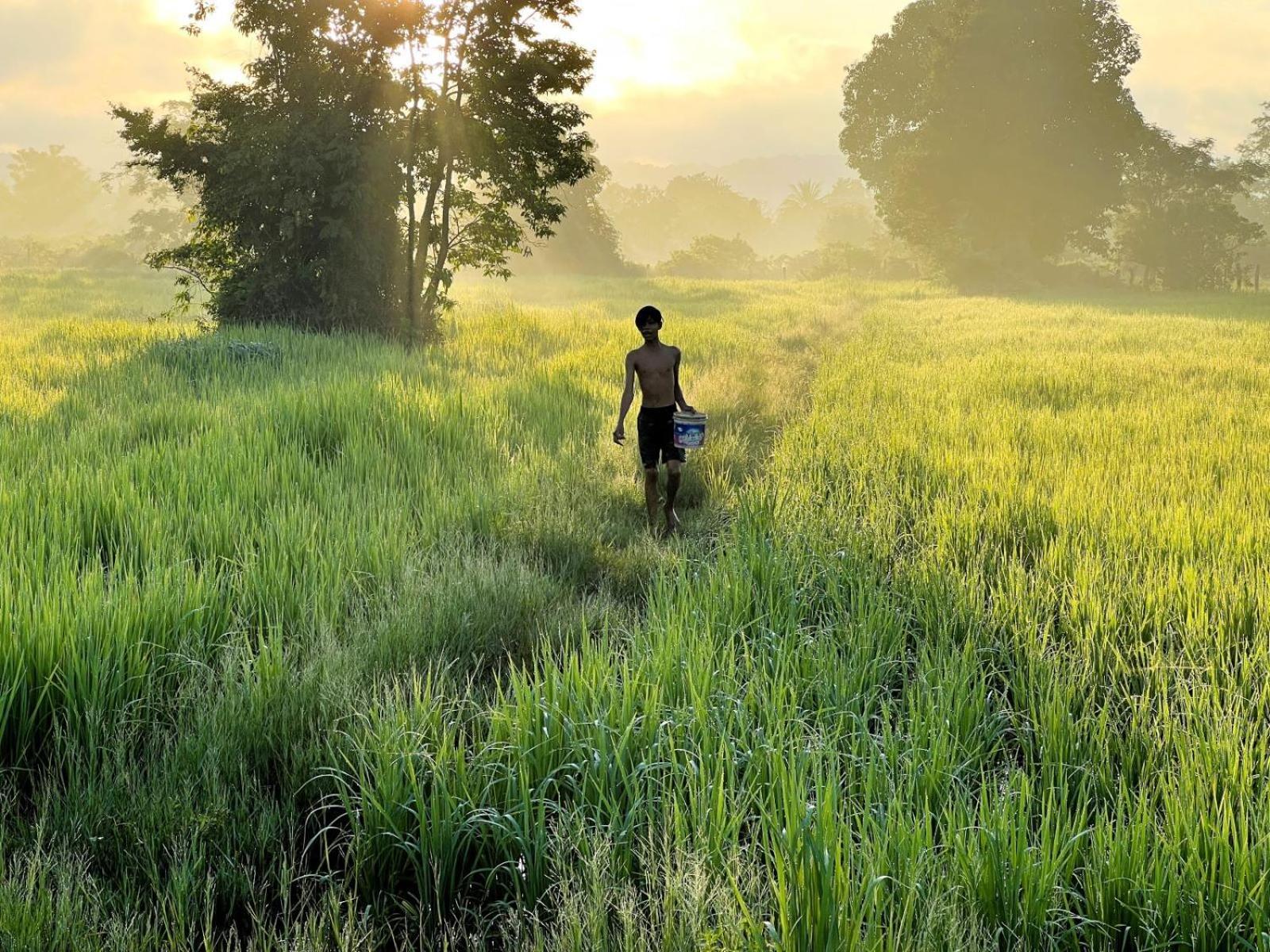 The Little Vegan Homestay Phumi Banteay Srei Exteriér fotografie